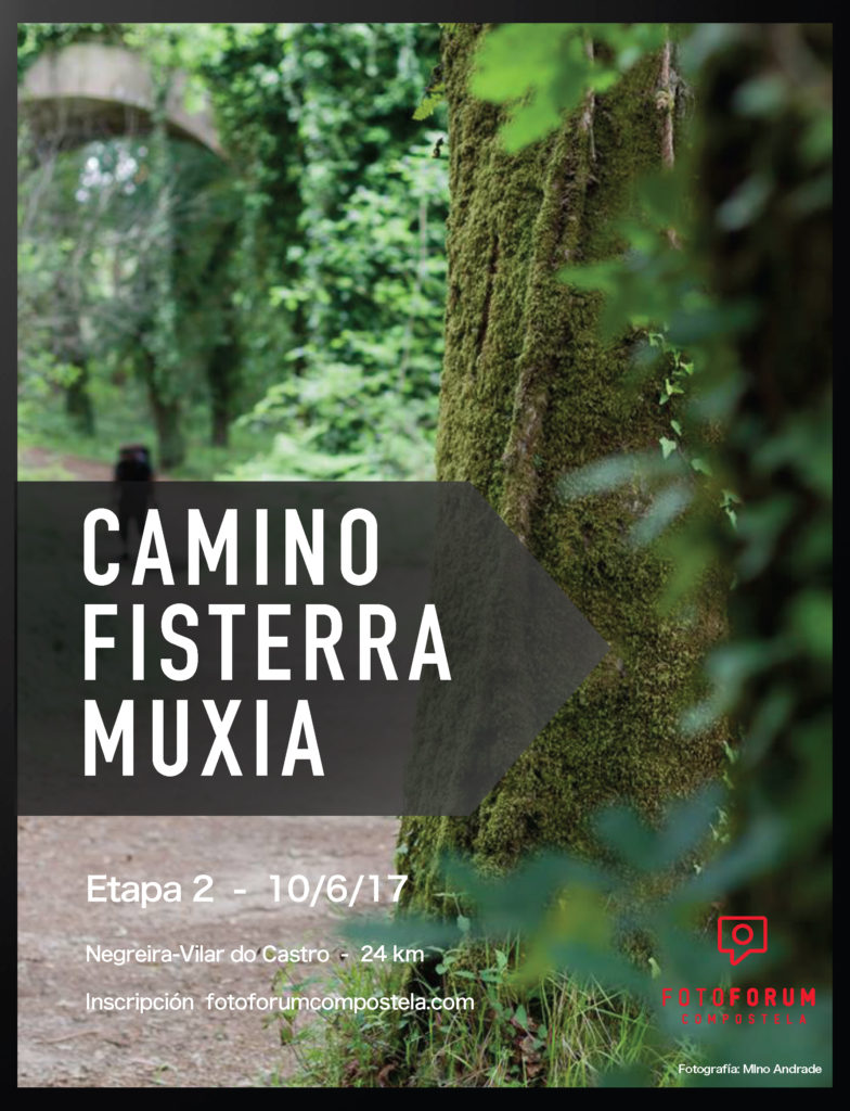 camino-fisterra-2-copia